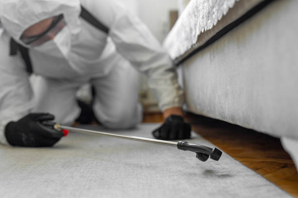 Professional Bed Bug Control technician working in Cortland, NY